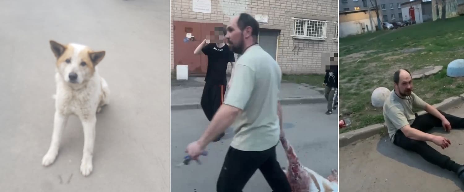 Догхантер публично замучил щенка