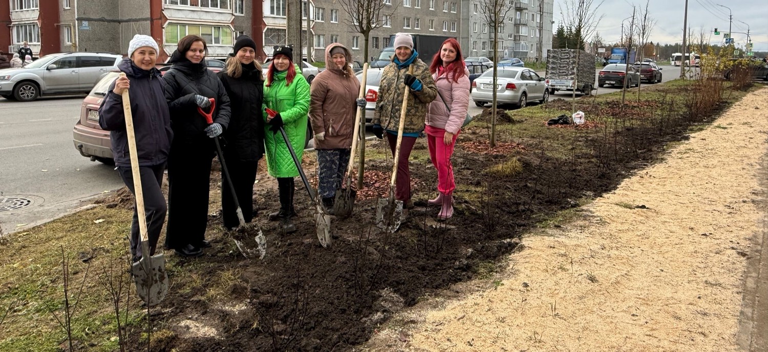 Вместе зеленее: на улице Наседкина высадили деревья и 700 кустарников.