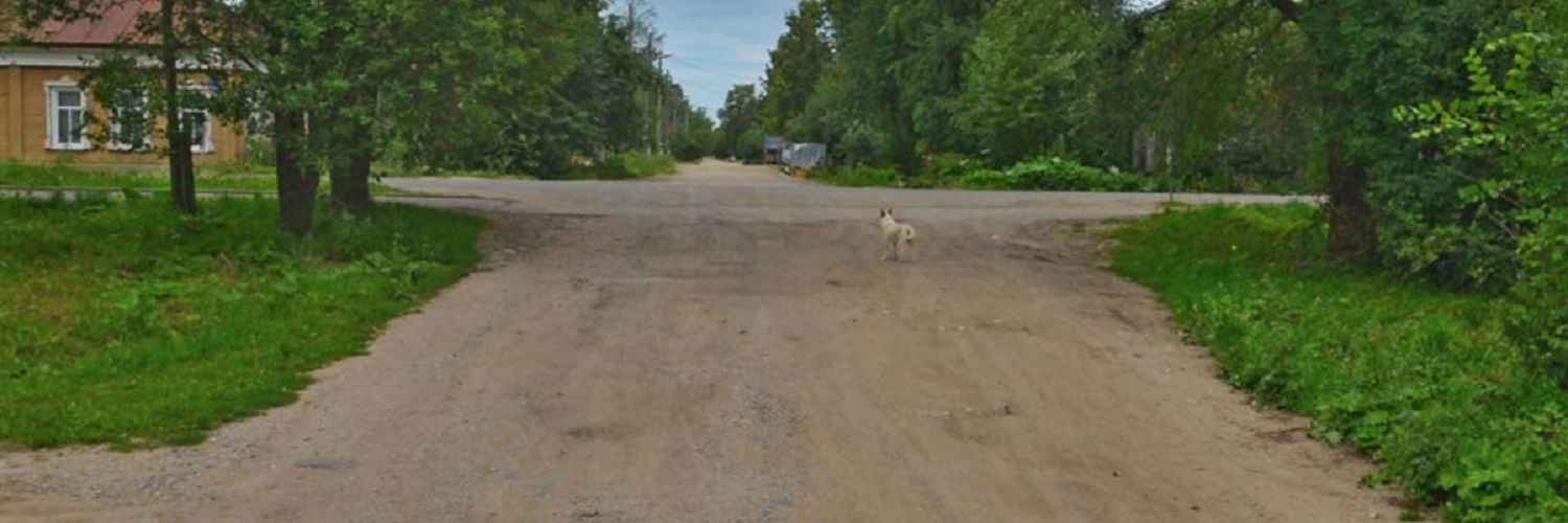 В Грязовце задержали вялого насильника