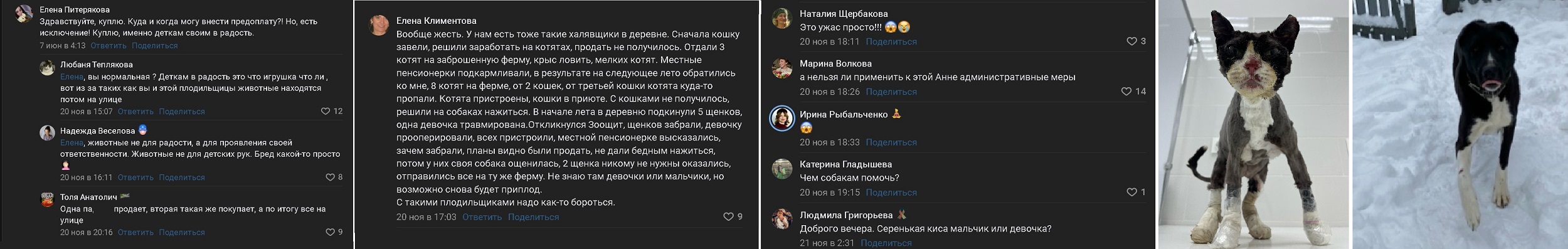 борьба за добро в Череповце