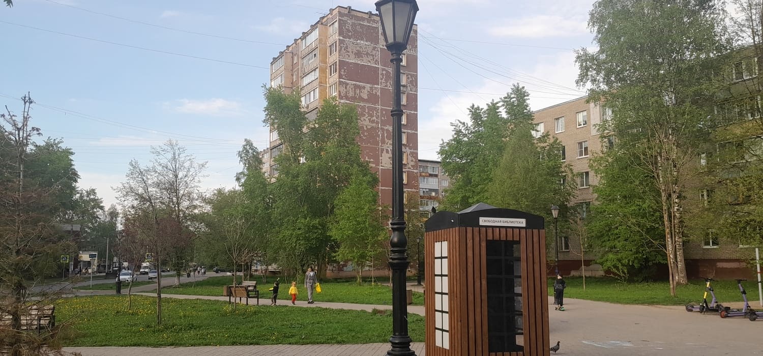 Череповчане любят гулять и читать