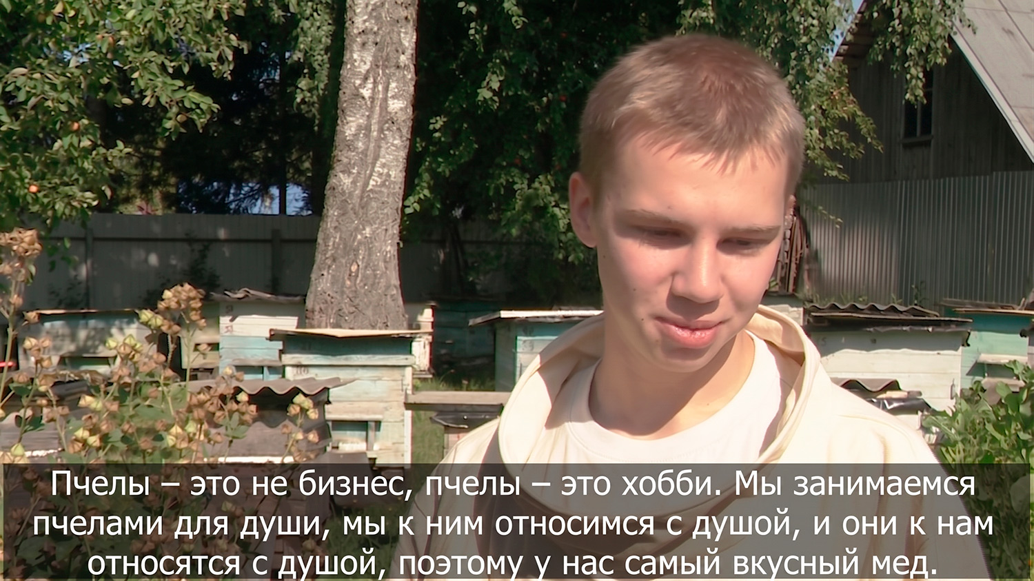Лучший мед Вологодчины
