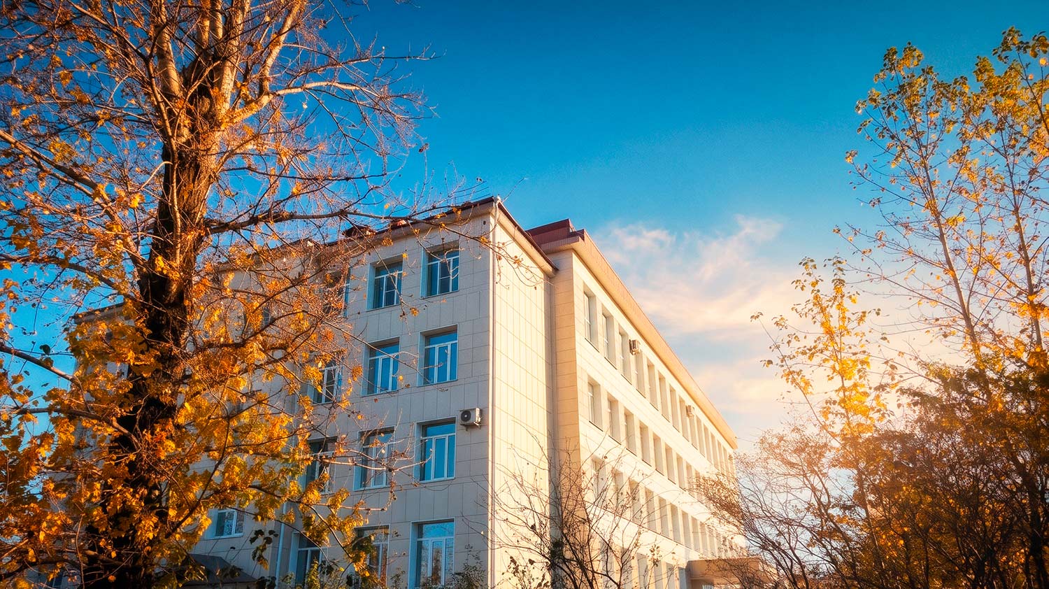 В ноябре студенты череповецкого медицинского колледжа имени Амосова начнут учебу в полностью обновленном корпусе на проспекте Победы
