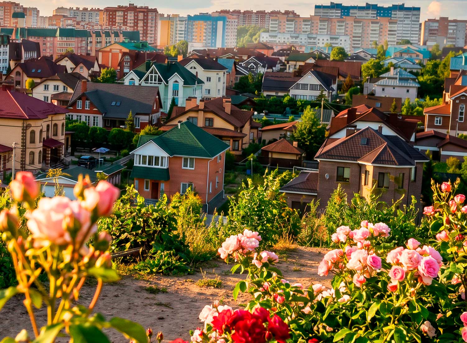 Череповец Гритинская горка